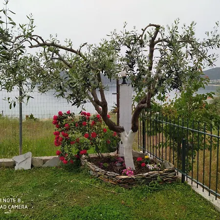 Appartamento Dream *
